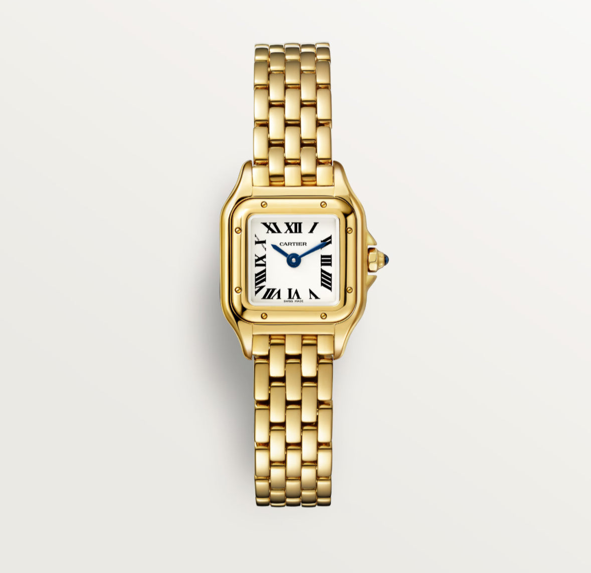 Premium Gold Watch